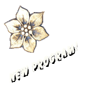 new program